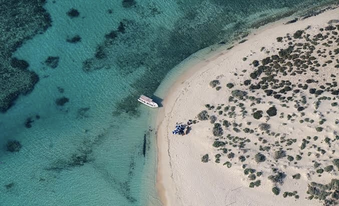 رحلة جزيرة البريدي